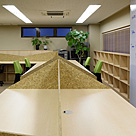 ベンフィールド（3）